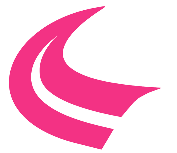 Houston Texans HOT PINK Horns Logo Premium DieCut Vinyl Decal PICK SIZE