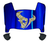 Houston Texans Limited Edition Mini Football Helmet Visor Shield w/ Clips - PICK VISOR & LOGO COLOR