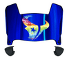 Houston Texans Limited Edition Mini Football Helmet Visor Shield w/ Clips - PICK VISOR & LOGO COLOR