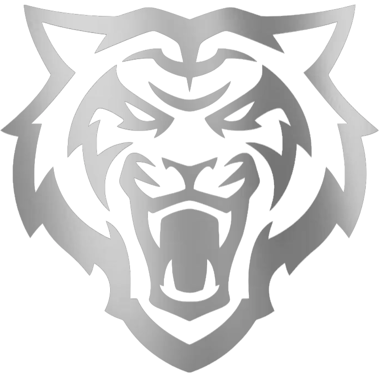 Idaho State Bengals SILVER CHROME MIRROR Team Logo Premium DieCut Vinyl Decal PICK SIZE