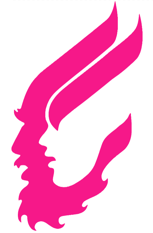 Idaho Vandals Hot Pink Retro Throwback Logo Premium DieCut Vinyl Decal PICK SIZE