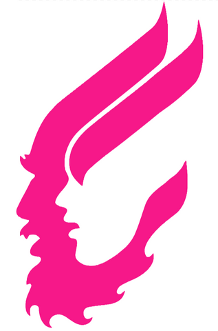 Idaho Vandals Hot Pink Retro Throwback Logo Premium DieCut Vinyl Decal PICK SIZE