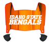 Idaho State Bengals Mini Football Helmet Visor Shield w/ Clips - PICK VISOR & LOGO COLOR