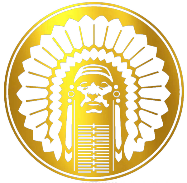 Illinois Fighting Illini GOLD CHROME MIRROR Retro Throwback Logo Premium DieCut Vinyl Decal PICK SIZE
