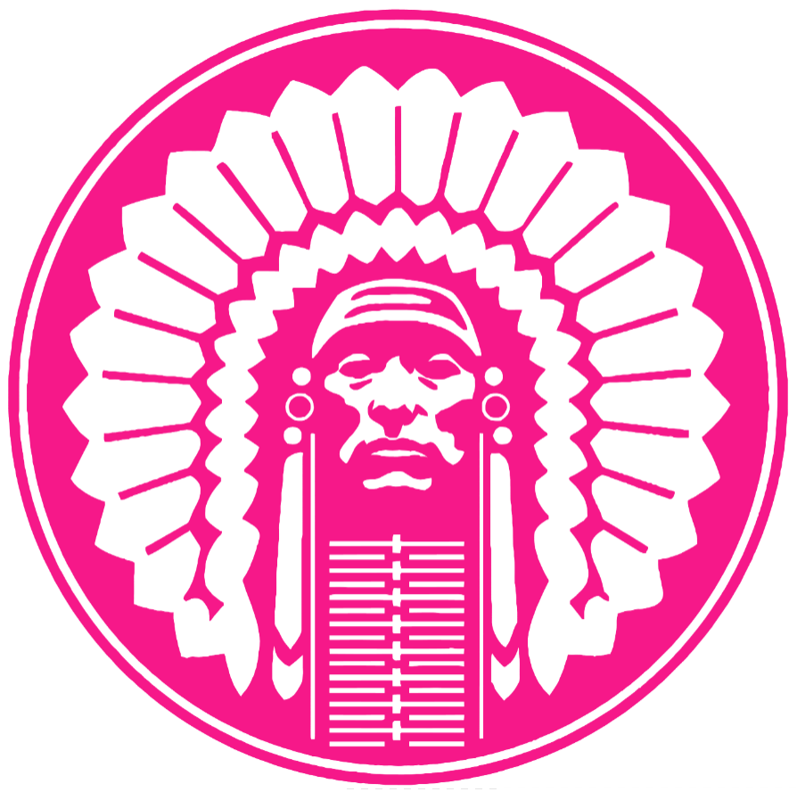 Illinois Fighting Illini Hot Pink Retro Throwback Logo Premium DieCut Vinyl Decal PICK SIZE