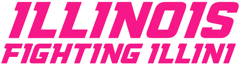 Illinois Fighting Illini Hot Pink Team Name Logo Premium DieCut Vinyl Decal PICK SIZE