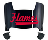 Illinois Chicago Flames Mini Football Helmet Visor Shield w/ Clips - PICK VISOR & LOGO COLOR