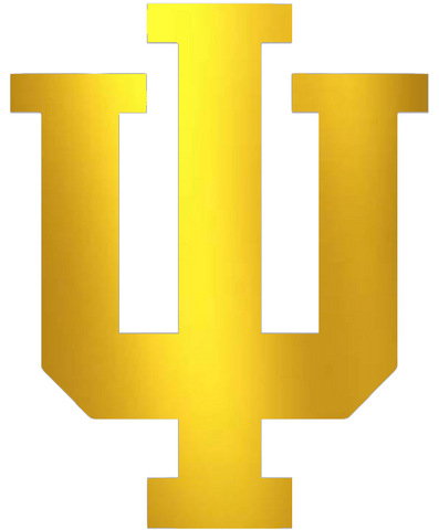 Indiana Hoosiers GOLD CHROME MIRROR Team Logo Premium DieCut Vinyl Decal PICK SIZE