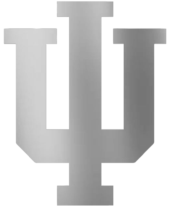 Indiana Hoosiers SILVER CHROME MIRROR Team Logo Premium DieCut Vinyl Decal PICK SIZE