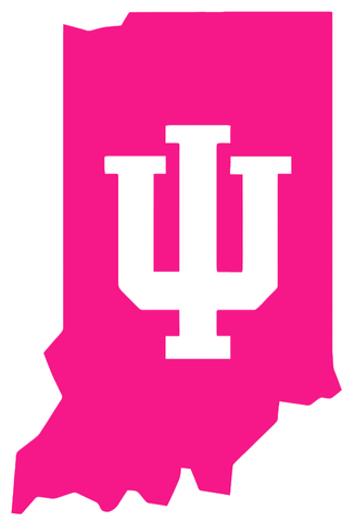 Indiana Hoosiers Hot Pink State Logo Premium DieCut Vinyl Decal PICK SIZE