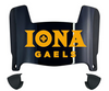 Iona Gaels Mini Football Helmet Visor Shield w/ Clips - PICK VISOR & LOGO COLOR