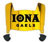 Iona Gaels Mini Football Helmet Visor Shield w/ Clips - PICK VISOR & LOGO COLOR