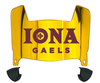 Iona Gaels Mini Football Helmet Visor Shield w/ Clips - PICK VISOR & LOGO COLOR