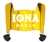Iona Gaels Mini Football Helmet Visor Shield w/ Clips - PICK VISOR & LOGO COLOR