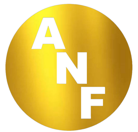 Iowa Hawkeyes GOLD CHROME MIRROR ANF Circle Logo Premium DieCut Vinyl Decal PICK SIZE