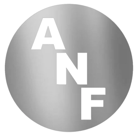 Iowa Hawkeyes SILVER CHROME MIRROR ANF Circle Logo Premium DieCut Vinyl Decal PICK SIZE