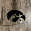 Iowa Hawkeyes Full Size Football Helmet Visor Shield w/ Clips - PICK VISOR & LOGO COLOR