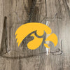 Iowa Hawkeyes Full Size Football Helmet Visor Shield w/ Clips - PICK VISOR & LOGO COLOR