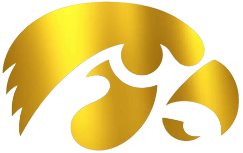 Iowa Hawkeyes GOLD CHROME MIRROR Team Logo Premium DieCut Vinyl Decal PICK SIZE