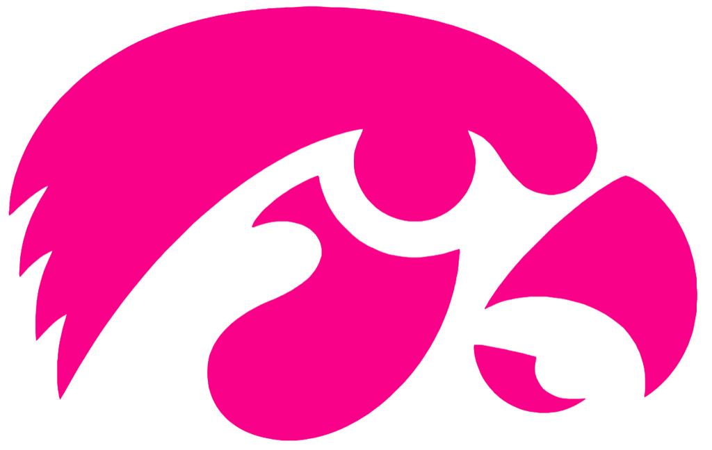 Iowa Hawkeyes Hot Pink Team Logo Premium DieCut Vinyl Decal PICK SIZE