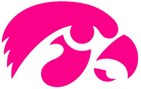 Iowa Hawkeyes Hot Pink Team Logo Premium DieCut Vinyl Decal PICK SIZE