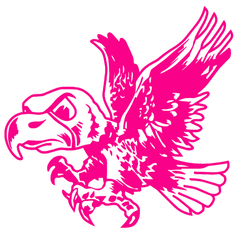 Iowa Hawkeyes Hot Pink Retro Throwback Logo Premium DieCut Vinyl Decal PICK SIZE