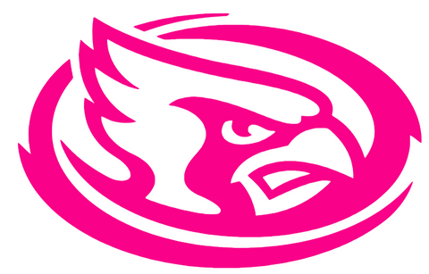 Iowa State Cyclones Hot Pink Mascot Logo Premium DieCut Vinyl Decal PICK SIZE