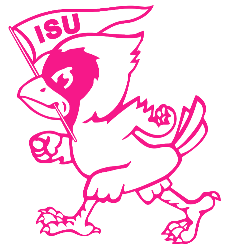 Iowa State Cyclones Hot Pink Retro Throwback Logo Premium DieCut Vinyl Decal PICK SIZE