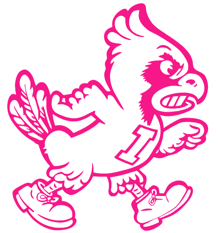Iowa State Cyclones Hot Pink Retro Throwback Logo Premium DieCut Vinyl Decal PICK SIZE