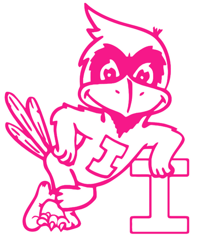 Iowa State Cyclones Hot Pink Retro Throwback Logo Premium DieCut Vinyl Decal PICK SIZE