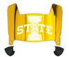 Iowa State Cyclones Mini Football Helmet Visor Shield w/ Clips - PICK VISOR & LOGO COLOR