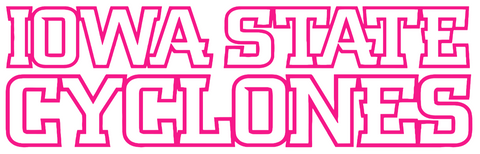 Iowa State Cyclones Hot Pink Team Name Logo Premium DieCut Vinyl Decal PICK SIZE