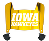 Iowa Hawkeyes Mini Football Helmet Visor Shield w/ Clips - PICK VISOR & LOGO COLOR