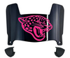Jacksonville Jaguars Limited Edition Mini Football Helmet Visor Shield w/ Clips - PICK VISOR & LOGO COLOR
