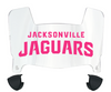 Jacksonville Jaguars Limited Edition Mini Football Helmet Visor Shield w/ Clips - PICK VISOR & LOGO COLOR