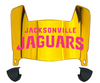 Jacksonville Jaguars Limited Edition Mini Football Helmet Visor Shield w/ Clips - PICK VISOR & LOGO COLOR