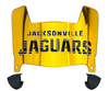 Jacksonville Jaguars Limited Edition Mini Football Helmet Visor Shield w/ Clips - PICK VISOR & LOGO COLOR