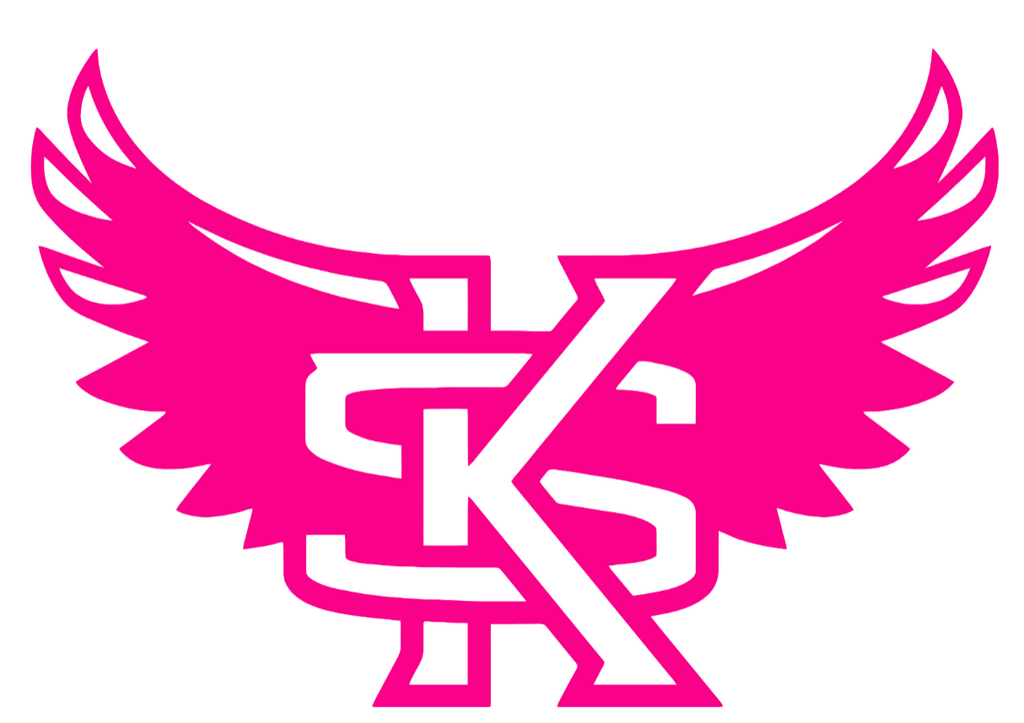 Kennesaw State Owls Hot Pink Alternate Logo Premium DieCut Vinyl Decal PICK SIZE