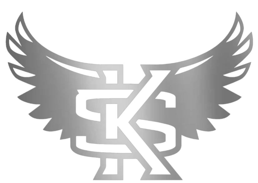 Kennesaw State Owls SILVER CHROME MIRROR Alternate Logo Premium DieCut Vinyl Decal PICK SIZE