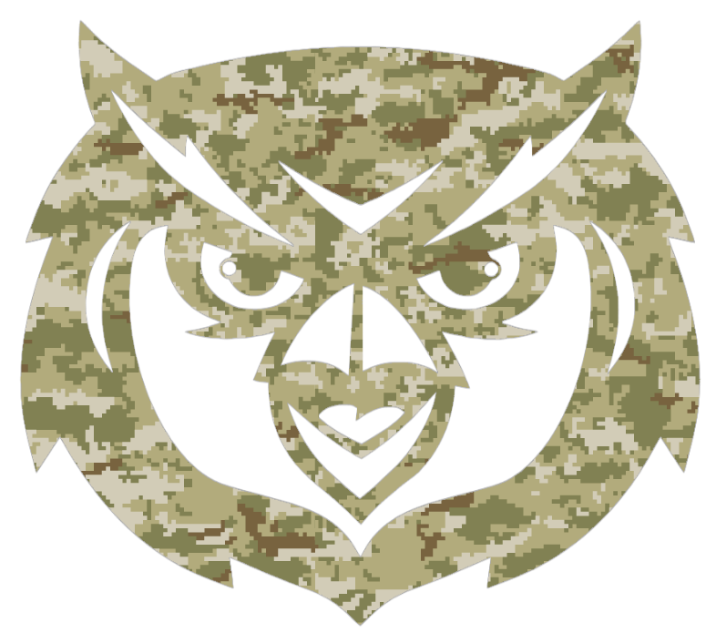 Kennesaw State Owls Mascot Logo Salute to Service Camouflage Camo Vinyl Decal PICK SIZE