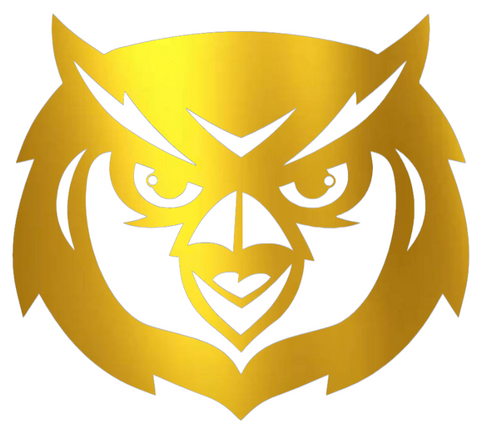 Kennesaw State Owls GOLD CHROME MIRROR Mascot Logo Premium DieCut Vinyl Decal PICK SIZE