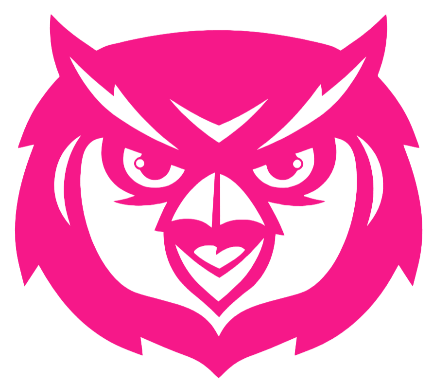 Kennesaw State Owls Hot Pink Mascot Logo Premium DieCut Vinyl Decal PICK SIZE