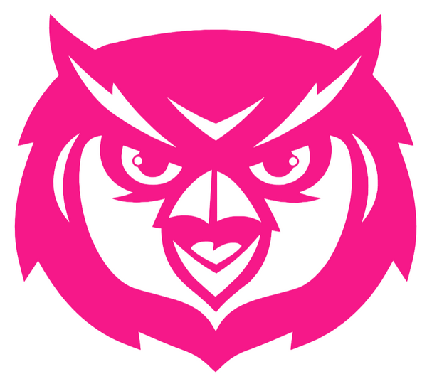 Kennesaw State Owls Hot Pink Mascot Logo Premium DieCut Vinyl Decal PICK SIZE