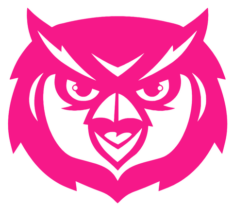 Kennesaw State Owls Hot Pink Mascot Logo Premium DieCut Vinyl Decal PICK SIZE