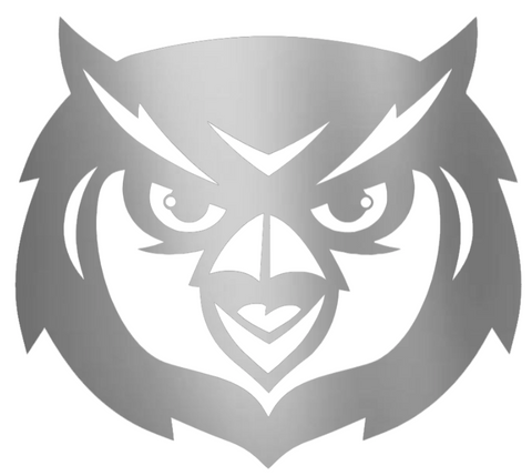 Kennesaw State Owls SILVER CHROME MIRROR Mascot Logo Premium DieCut Vinyl Decal PICK SIZE