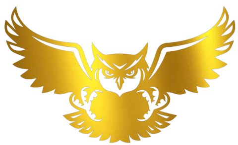 Kennesaw State Owls GOLD CHROME MIRROR Mascot Logo Premium DieCut Vinyl Decal PICK SIZE