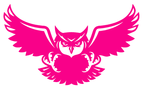 Kennesaw State Owls Hot Pink Mascot Logo Premium DieCut Vinyl Decal PICK SIZE