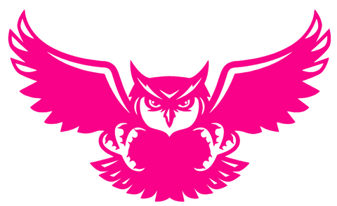 Kennesaw State Owls Hot Pink Mascot Logo Premium DieCut Vinyl Decal PICK SIZE