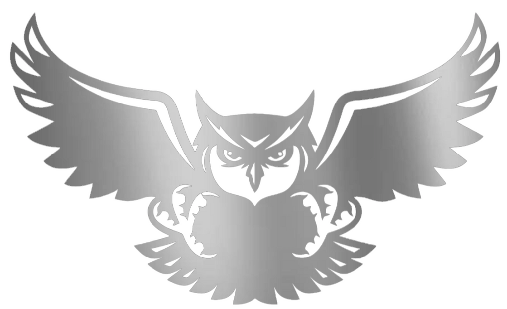 Kennesaw State Owls SILVER CHROME MIRROR Mascot Logo Premium DieCut Vinyl Decal PICK SIZE