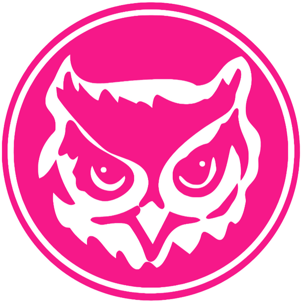 Kennesaw State Owls Hot Pink Retro Throwback Logo Premium DieCut Vinyl Decal PICK SIZE